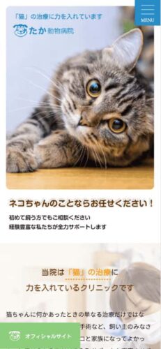 たか動物病院 様【猫専門サイト】