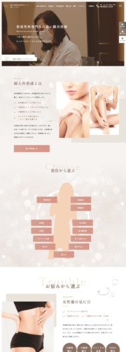 y’s clinic 様【婦人科形成専門サイト】