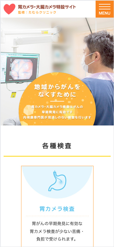 医療法人朋詠会たむらクリニック 様【胃カメラ・大腸カメラ特設サイト】